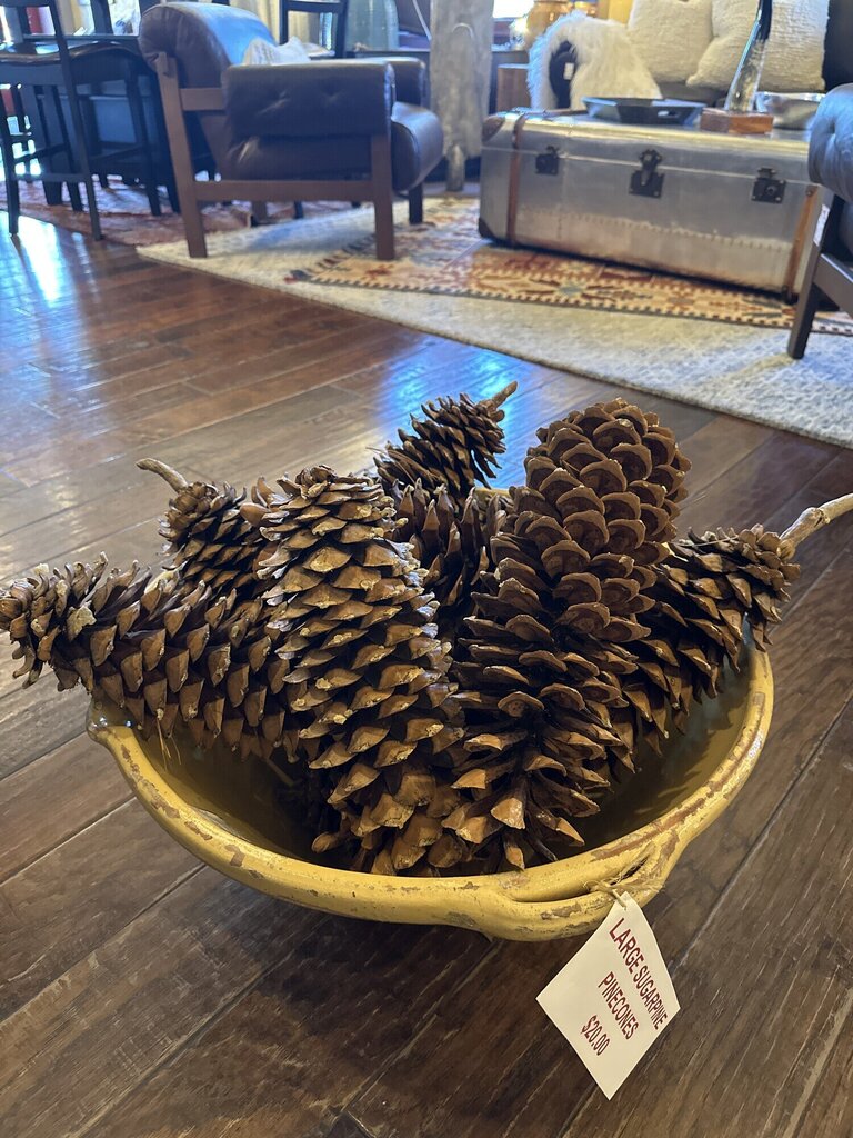 Large Sugar Pinecone