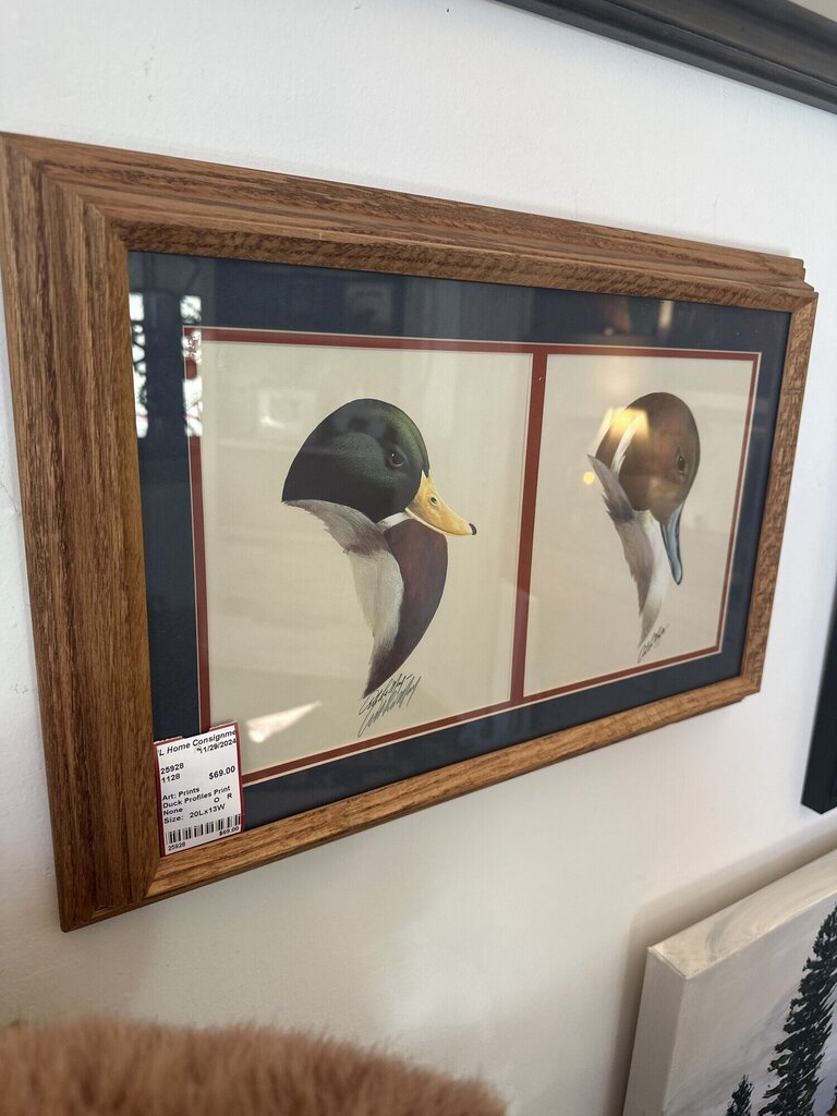 Duck Profiles Print Print by Art LaMay
