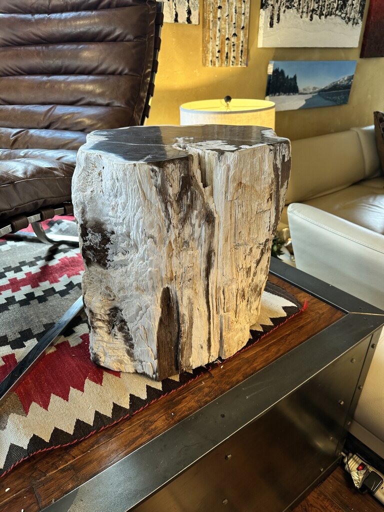 Petrified Wood Side Table