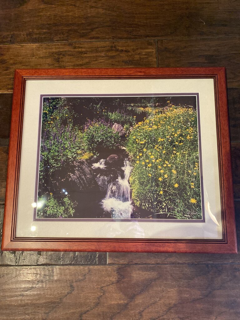 Wildflowers By Kiwi
