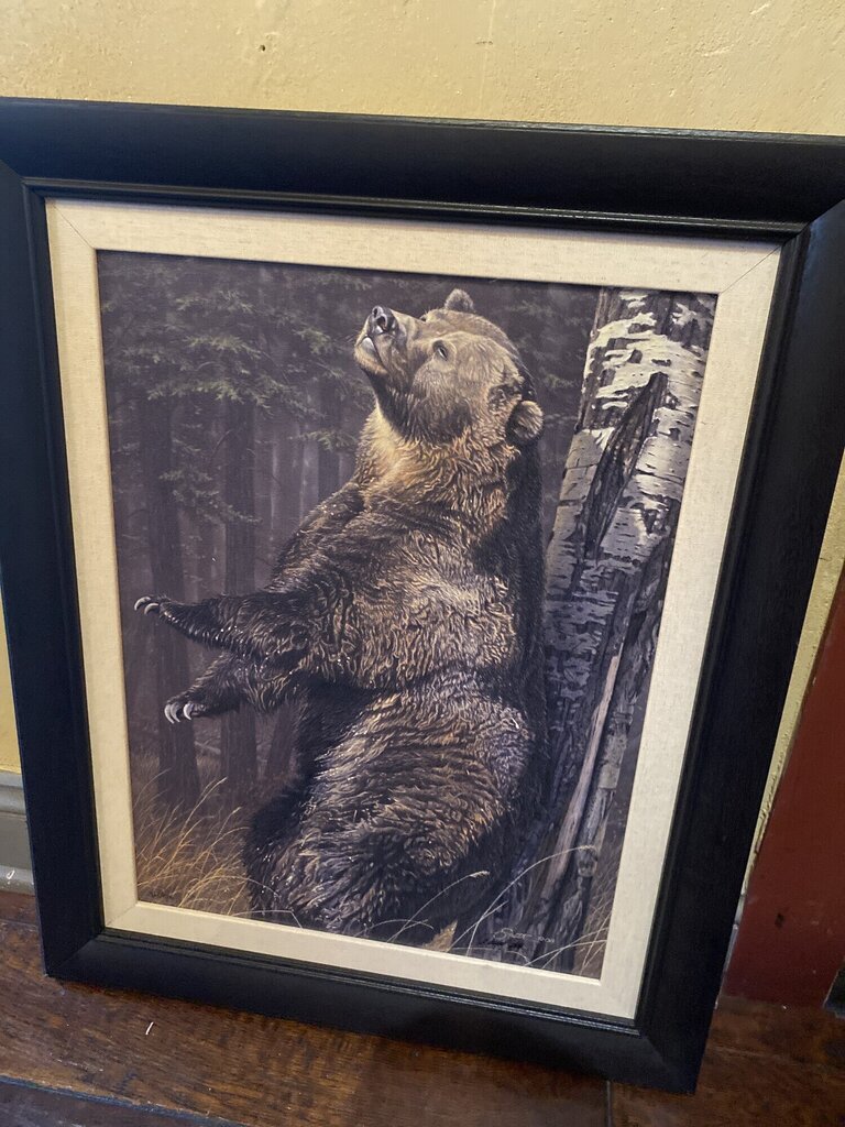 Daniel Smith Bear Print
