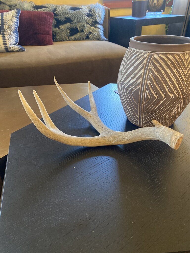 Antler