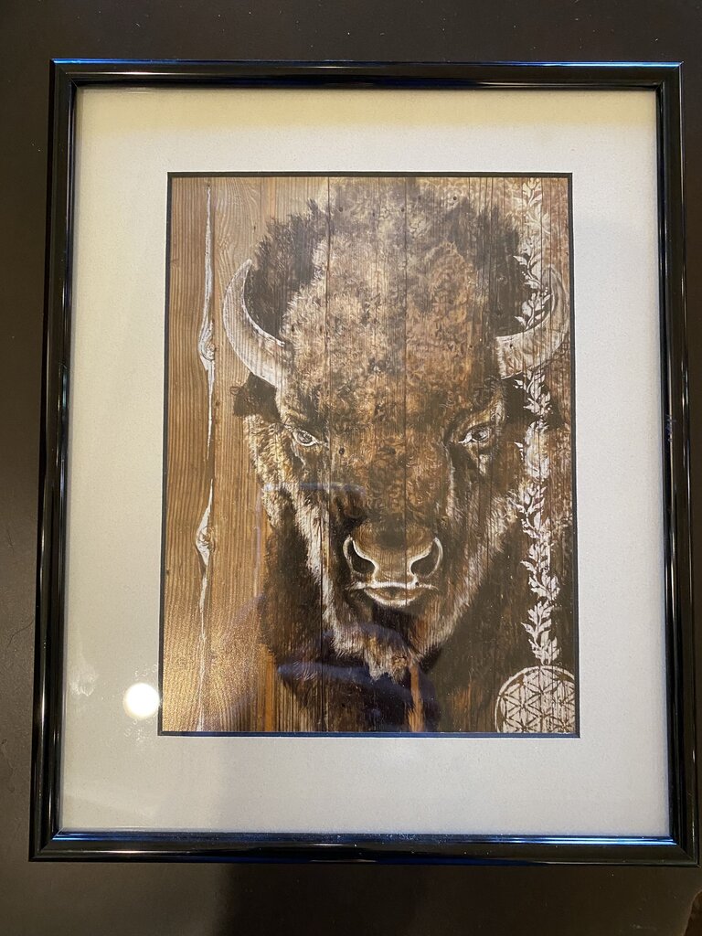 Framed Bison Pigment Ink Print By Sara Smith