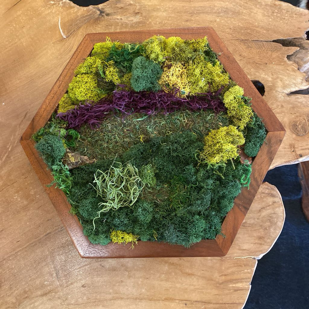 Octagon Moss Wall Or Table Decor By Rustic Incline