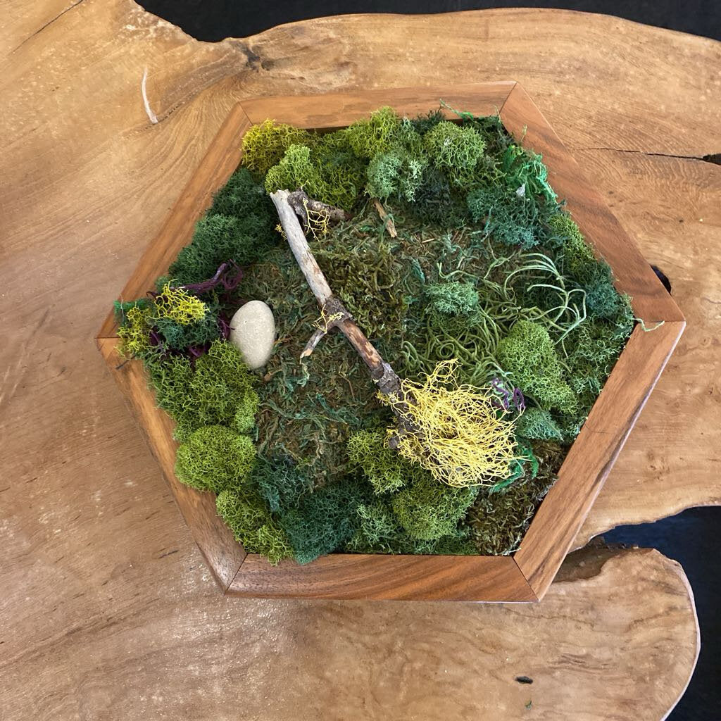 Octagon Moss Wall Or Table Decor By Rustic Incline