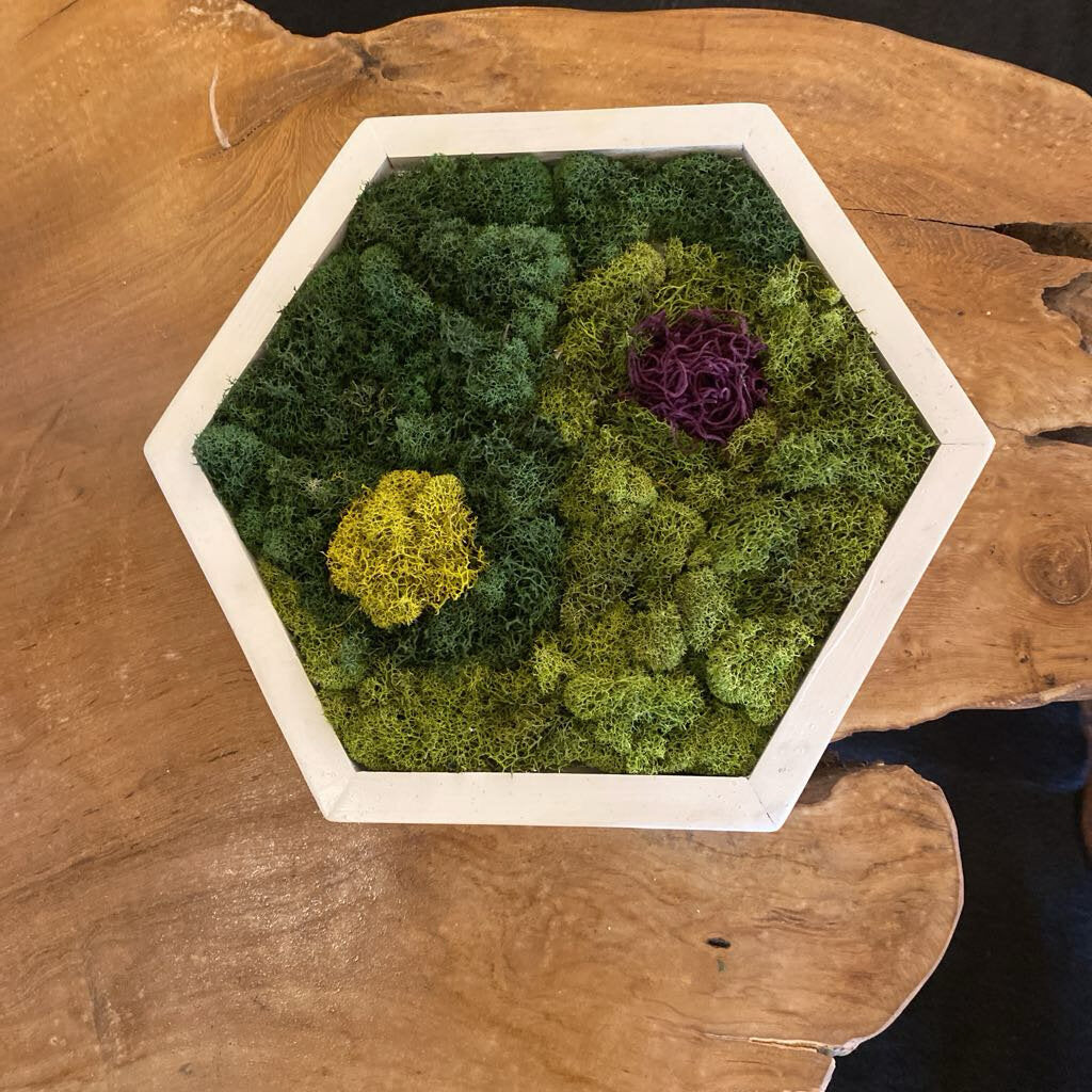 Octagon Moss Wall Or Table Decor By Rustic Incline