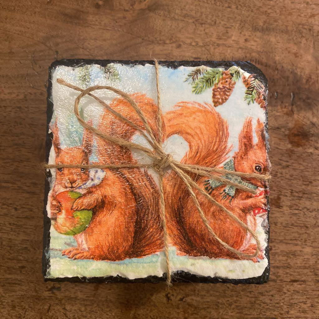 Squirrel Coasters - Set Of 4