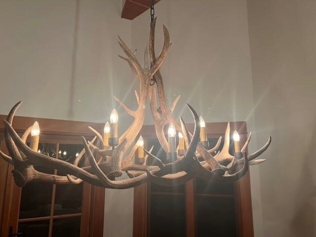 Elk Antler Chandelier - 8 Lights
