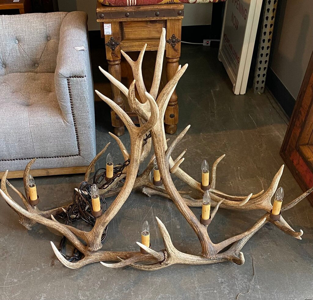 Elk Antler Chandelier - 8 Lights