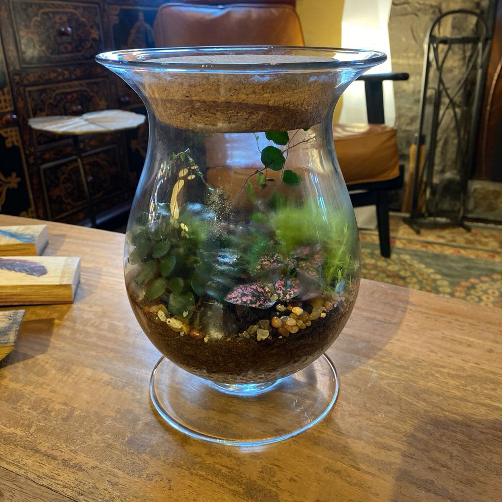 Living Crystal Terrarium