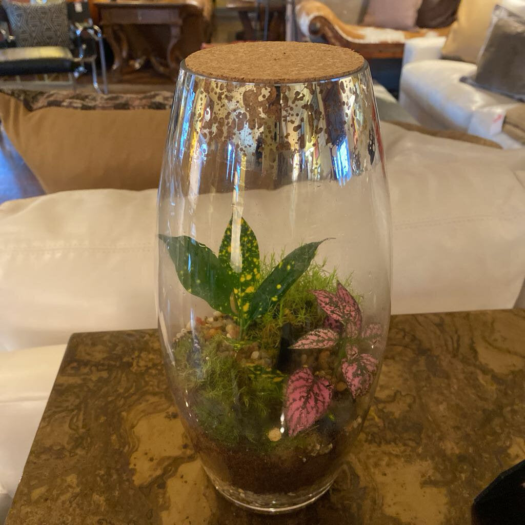 Self Contained Live Terrarium