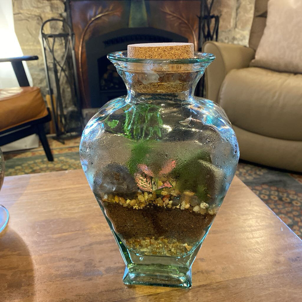 Living Crystal Terrarium