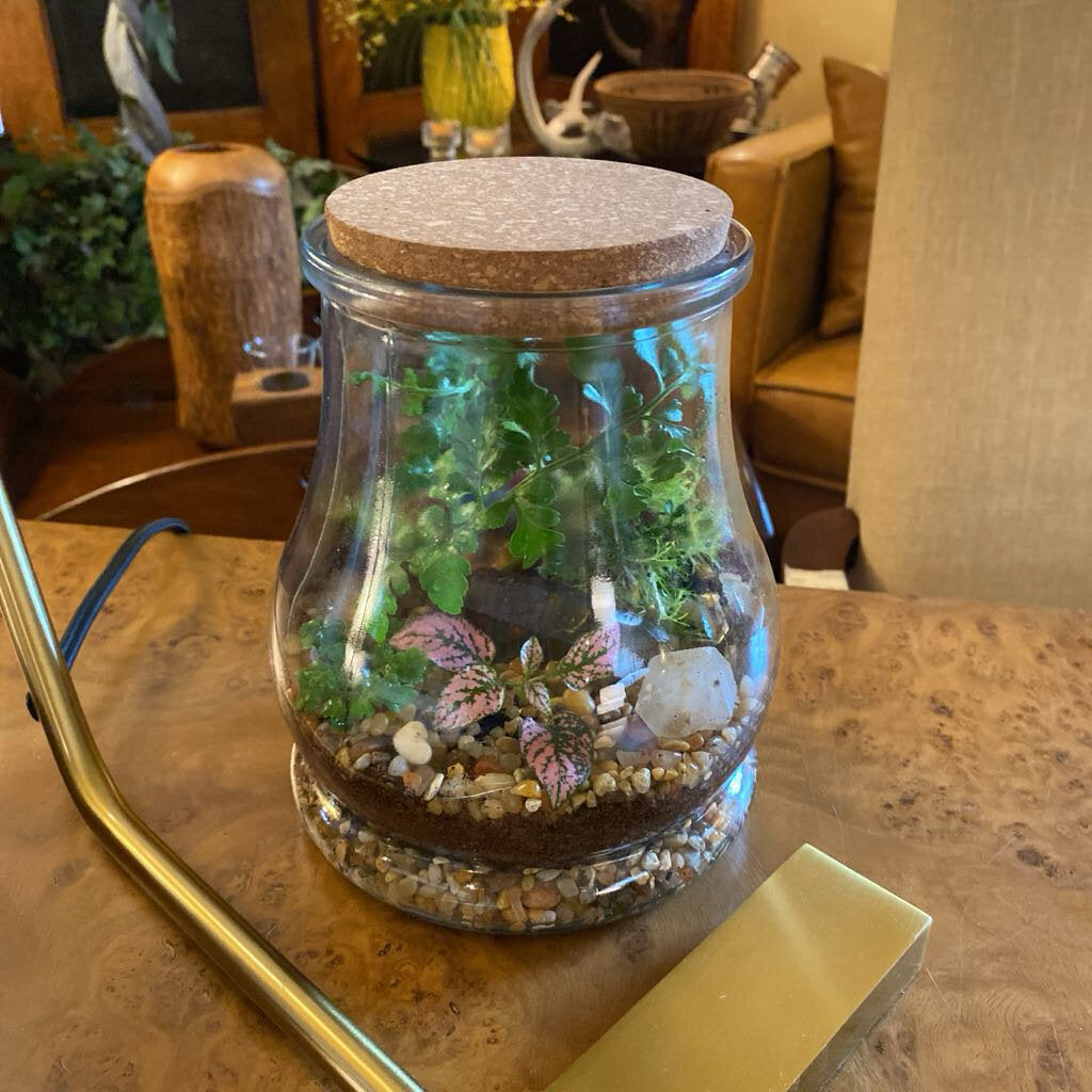 Living Crystal Terrarium