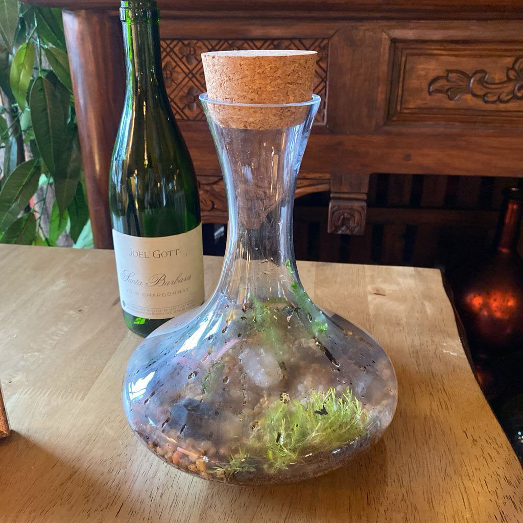 Living Crystal Terrarium