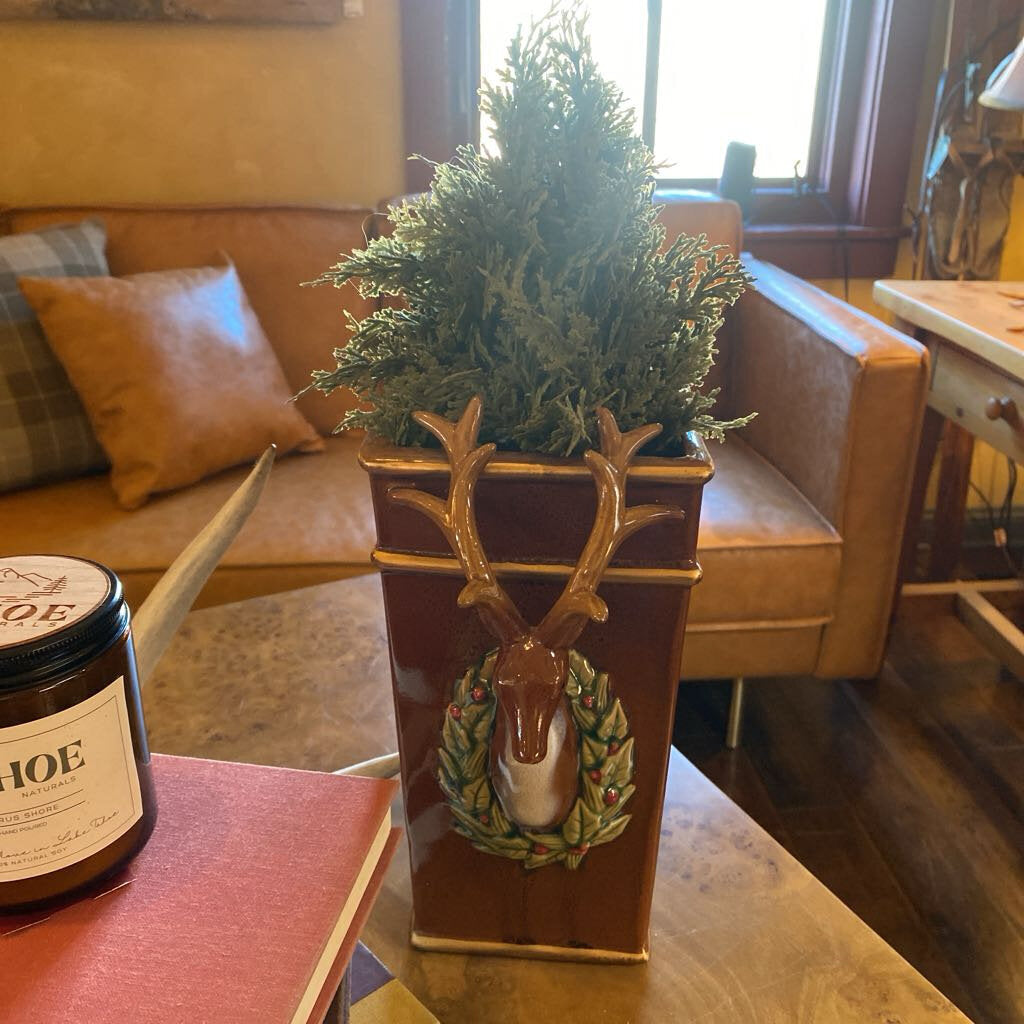 Deer Pot With Greens