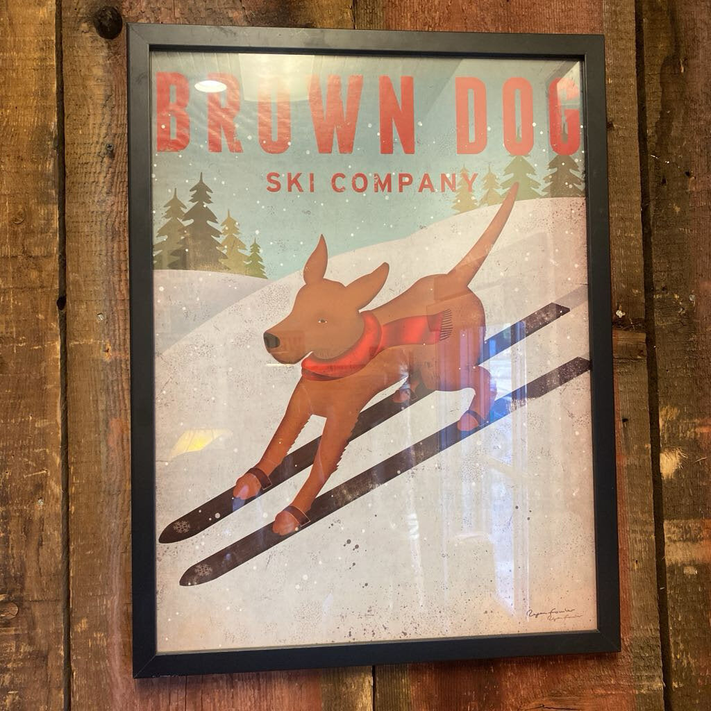 Brown Dog Ski Company