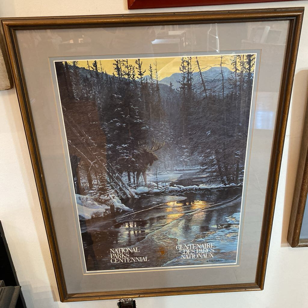 National Parks Centennial