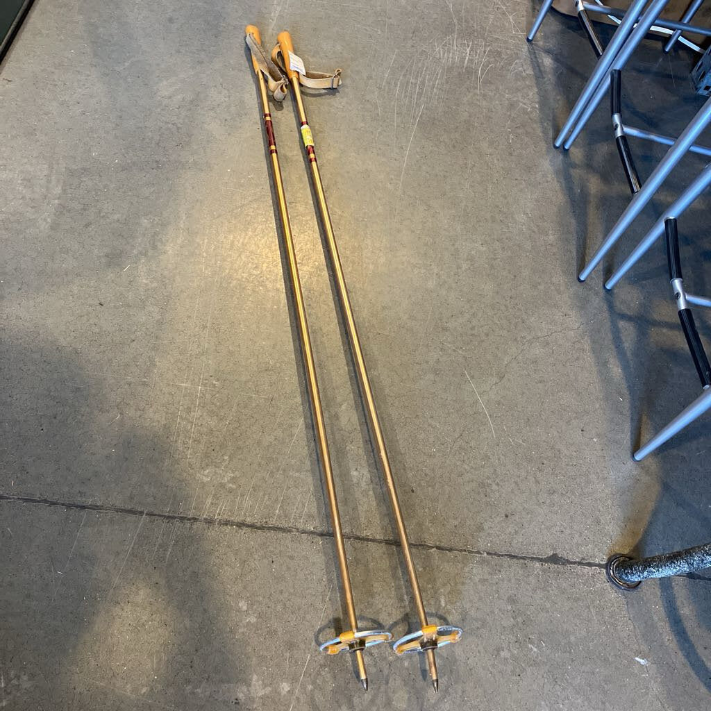 Scott Ski Poles
