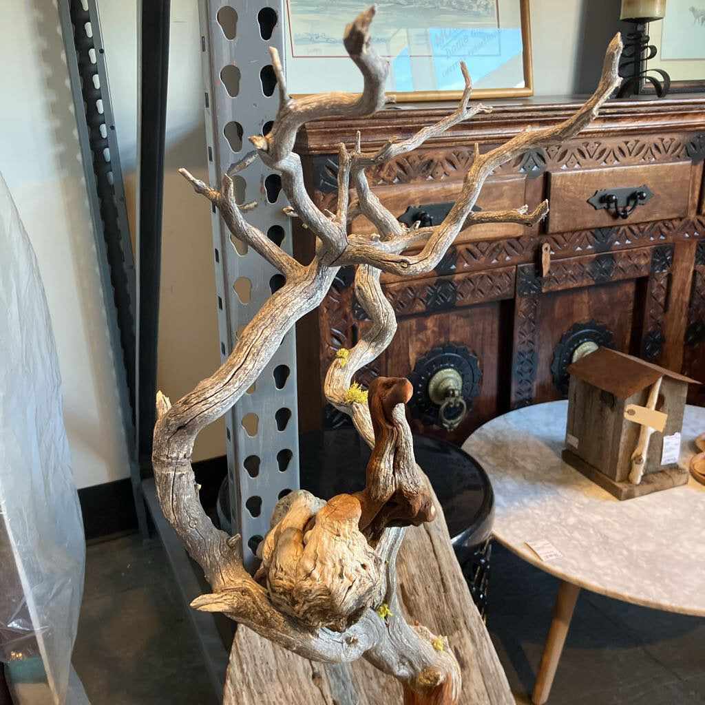 Custom Manzanita Wall Art