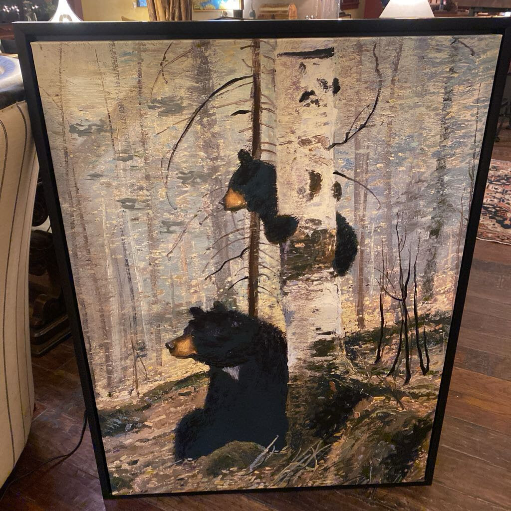 In The Adirondacks Framed Canvas By Michael Coleman