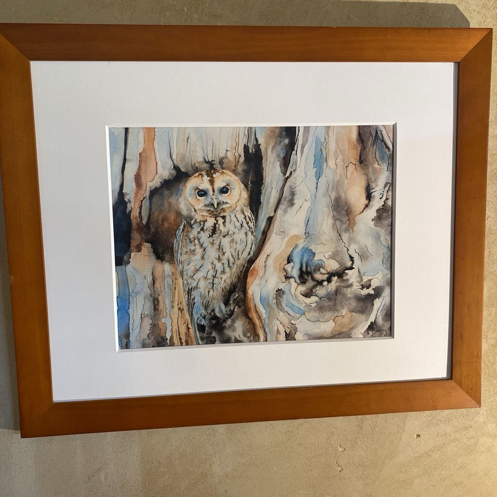 TAWNY OWL - Original Watercolor By Renny Spencer