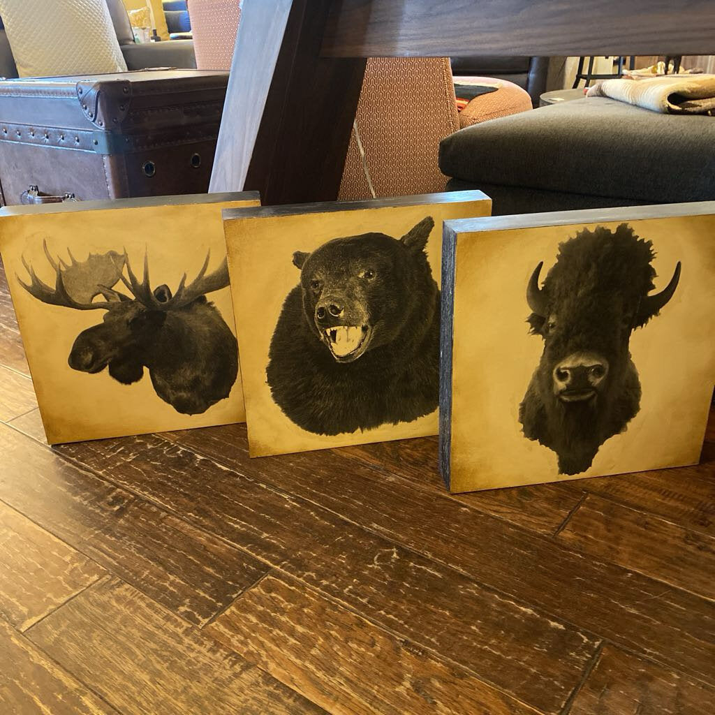 Animal Print Series - Set Of 3