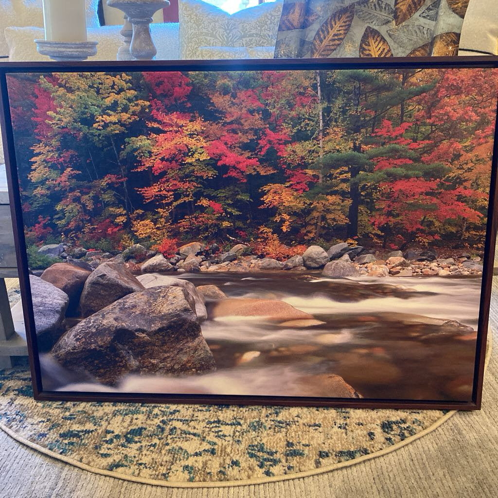 Leconte Creek Great Smoky MountainsPhoto