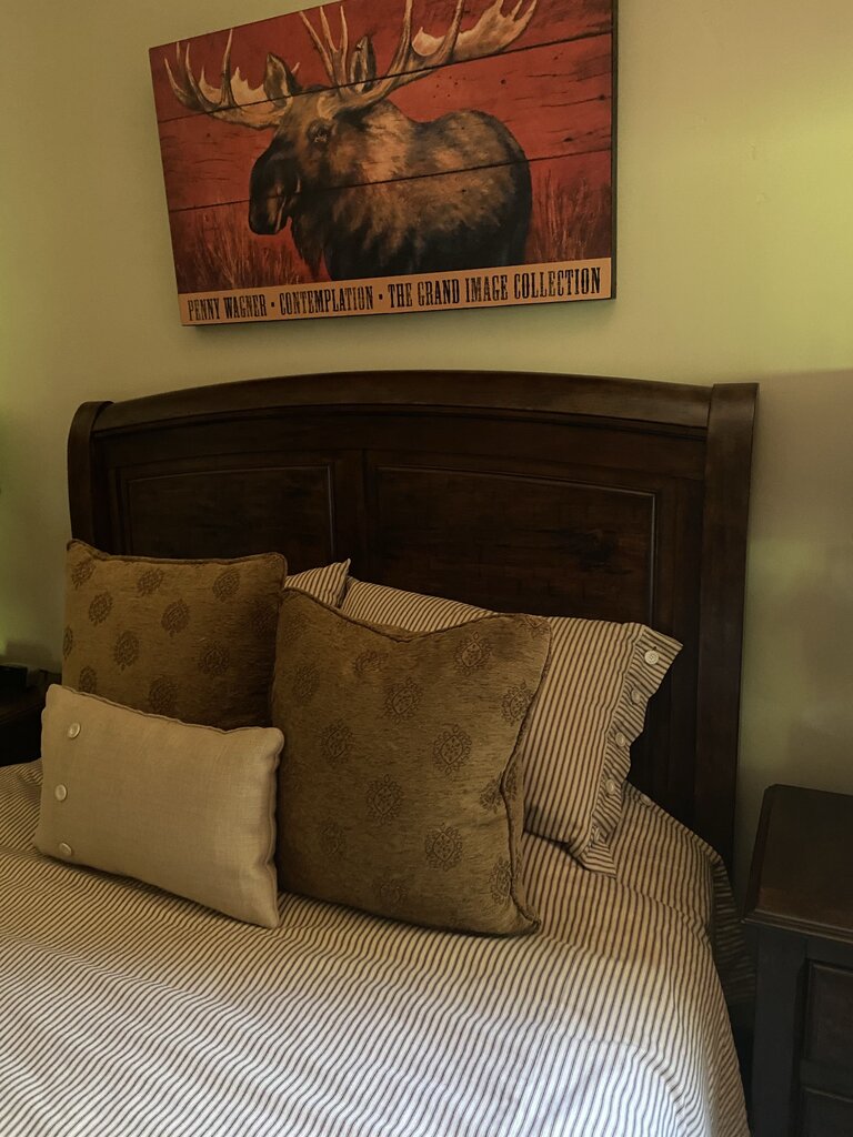 Wood Panel Queen Bed