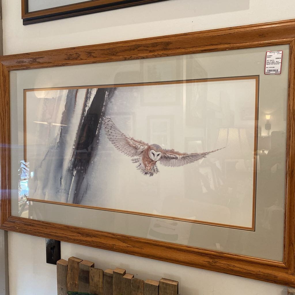 Edge Of Night - Barn Owl By Morten E Solberg, Signed And Numbered