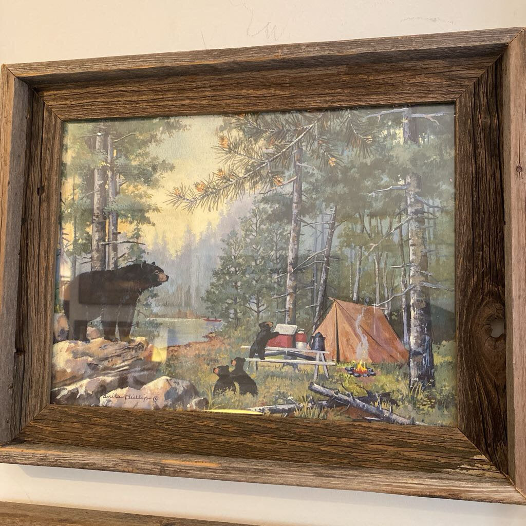 Bears Camping