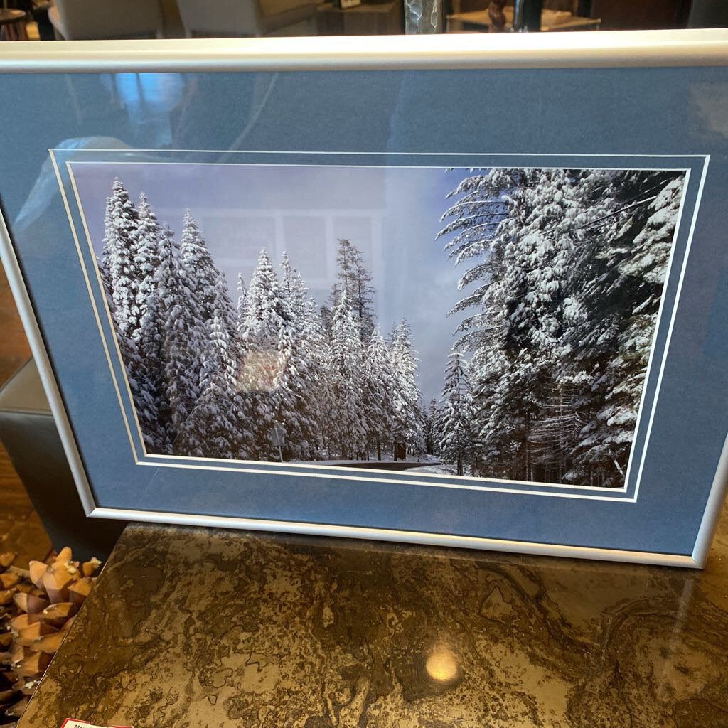 Walking In A Winter Wonder Land By Charles L. Downing