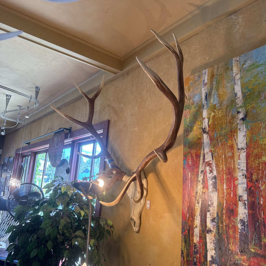 Faux Elk Antler Mount