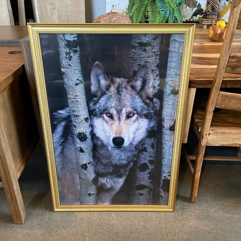"Wolf In The Wild" By Tim Davis