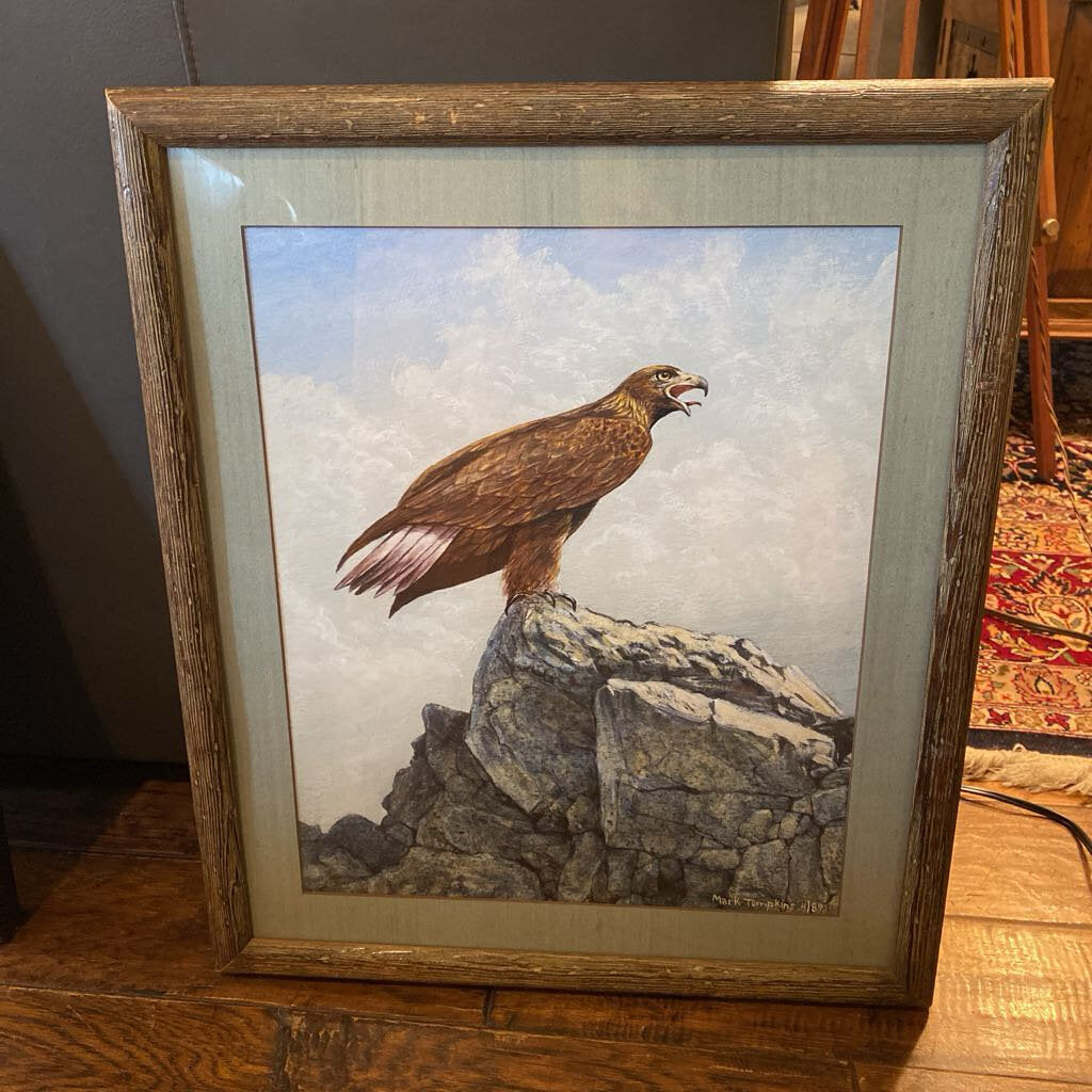 Eagle By Mark Tompkins