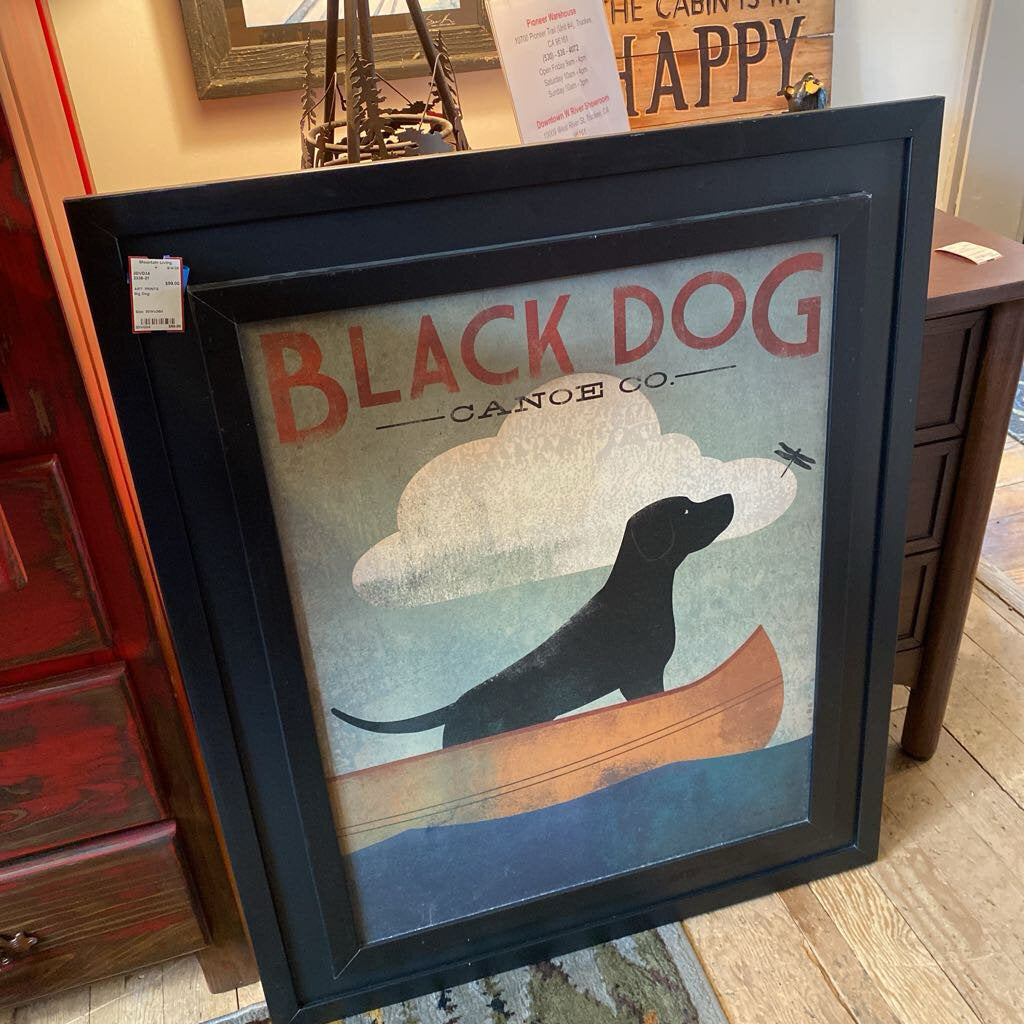 Black Dog