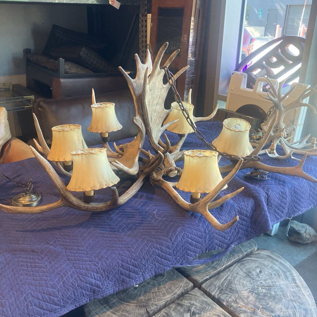Antler Chandelier w/ Hide Shades