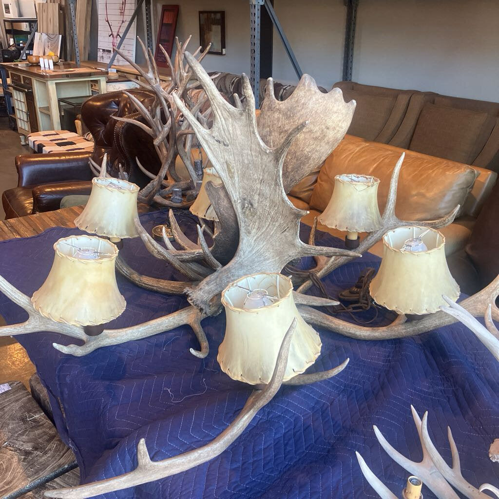 Antler Chandelier w/ Hide Shades