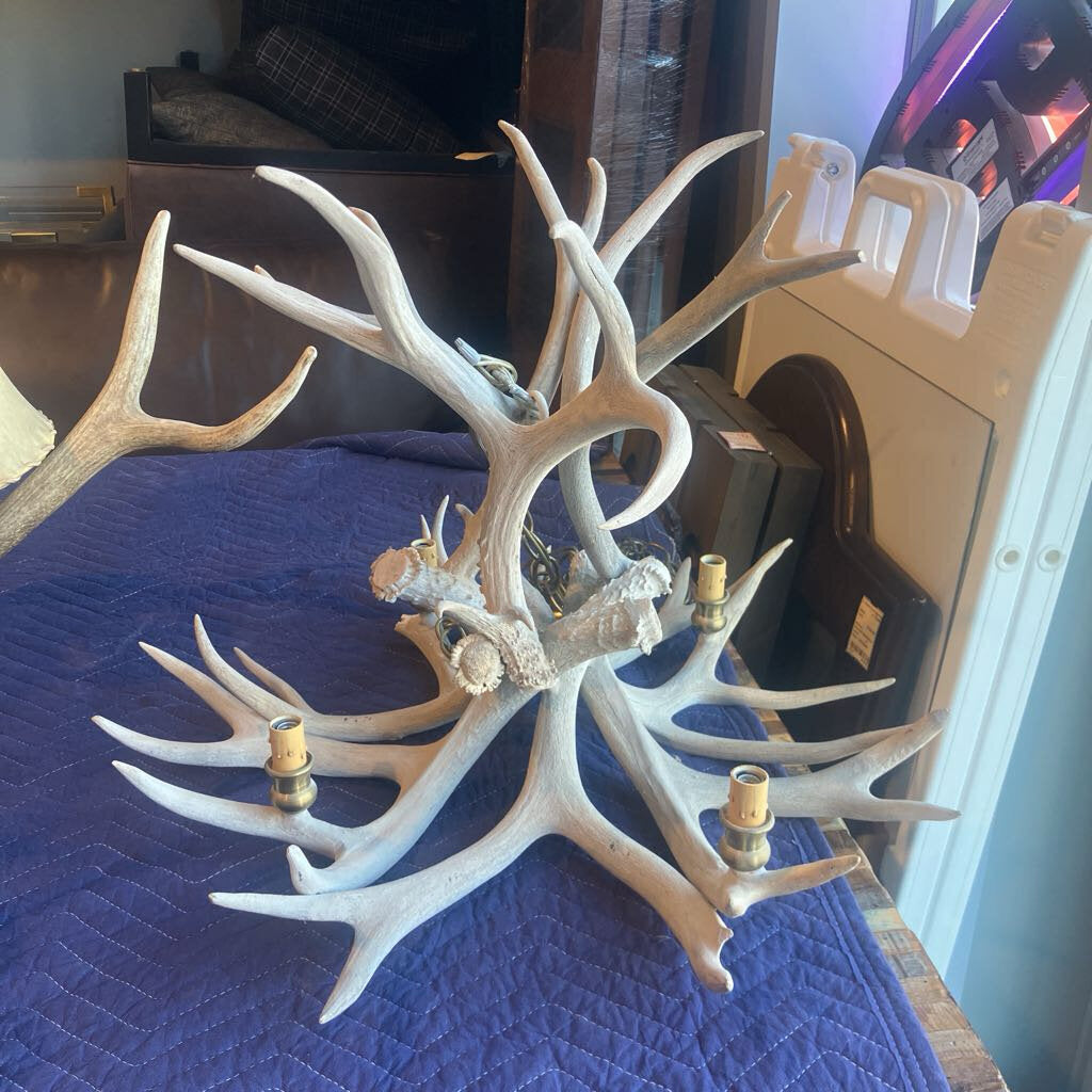 Real Antler Chandelier
