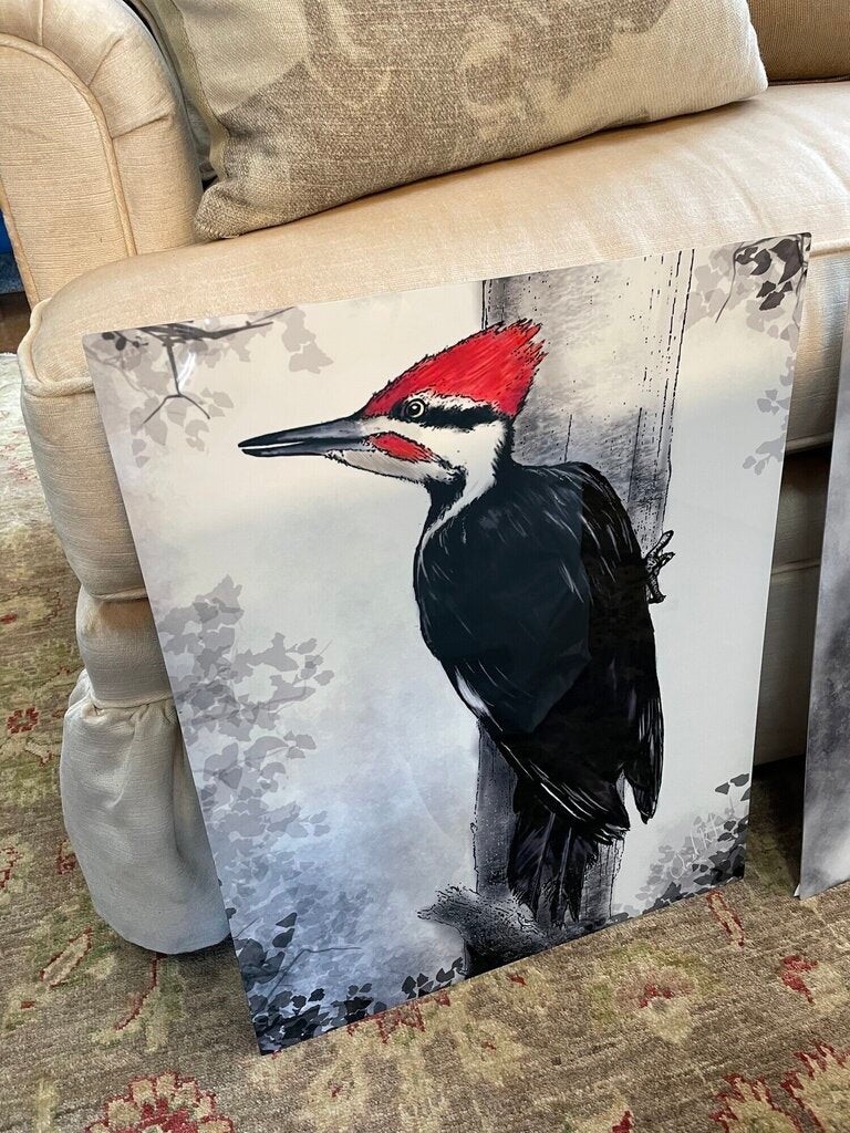 Woodpecker On Metal by San