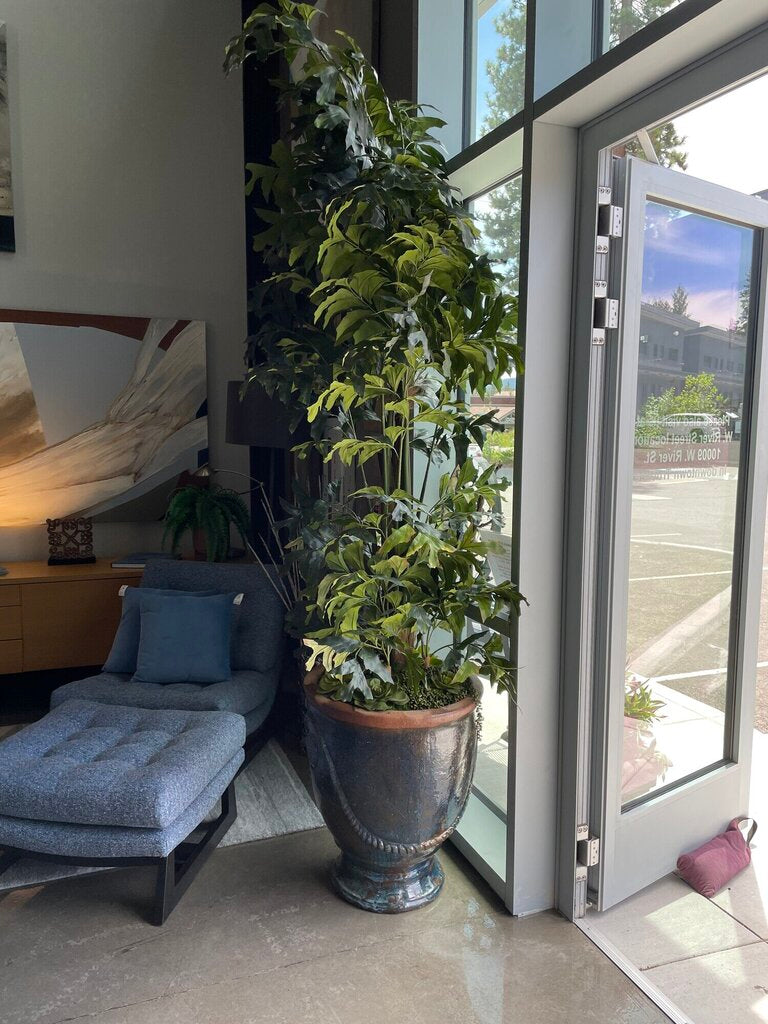 Faux Tree With Succulents