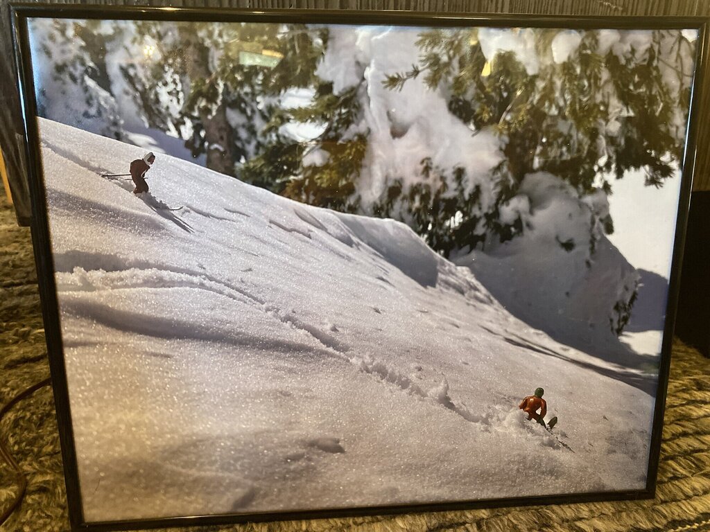 Silly Sierras Downhill by Local Photographer