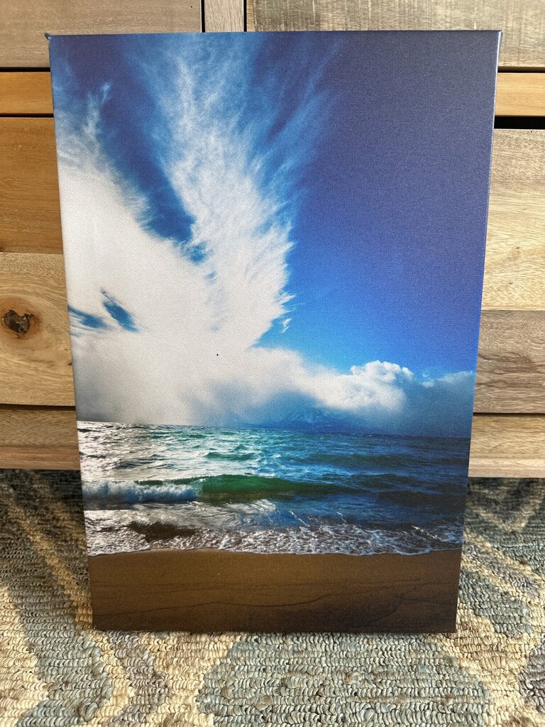 Angel Wings By Local Artist Marina Mulvey