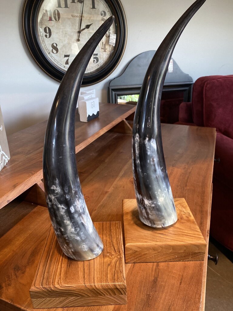 Mounted Steer Horn
