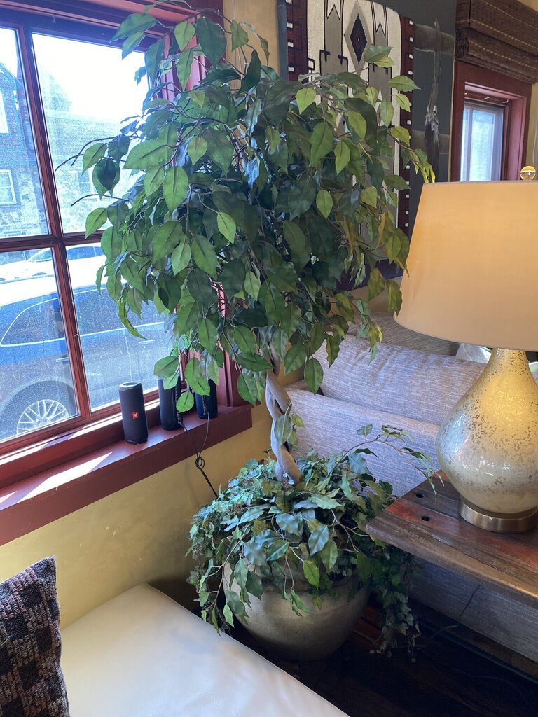 Faux Ficus Tree With Ivy