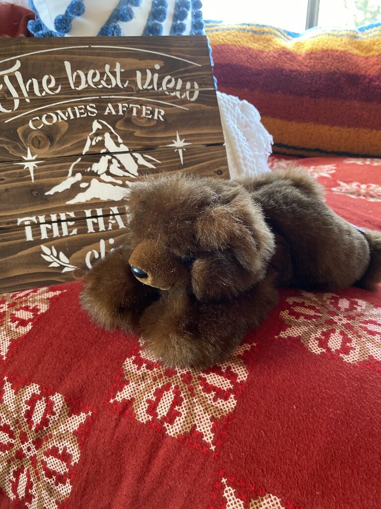 Stuffed Bear