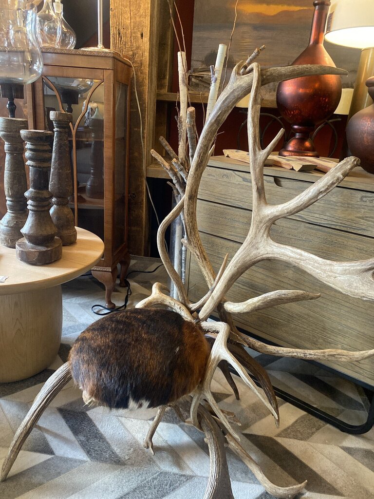 Antler Chair With Cowhide Seat