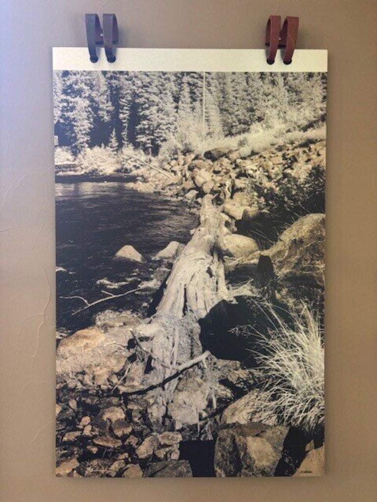 Truckee River By Nancy Holliday