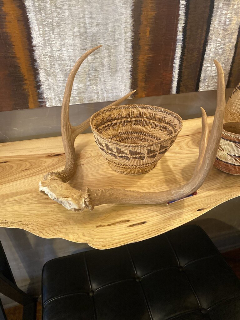 Two Point Antler Rack