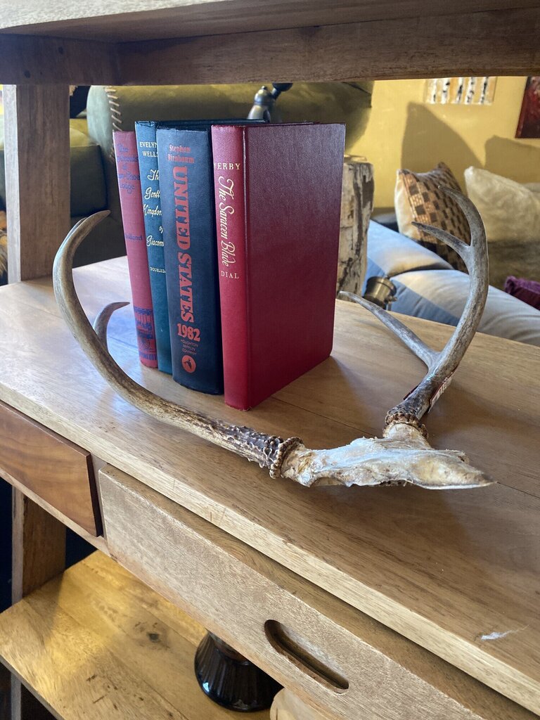 Two Point Antler Rack