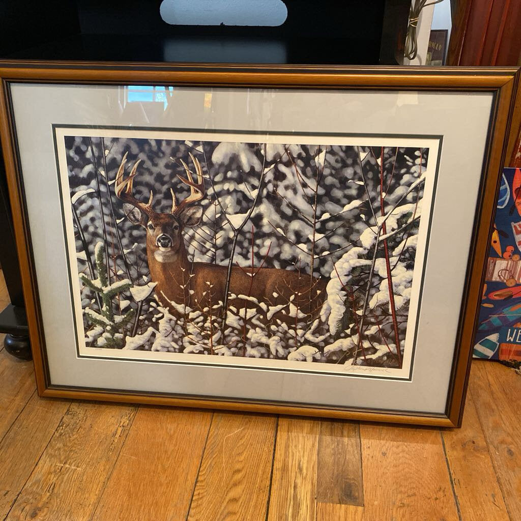 Deer By Stephen Hamrick
